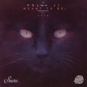 Listen to Meant to Be (Coyu Remix) song with lyrics from Polli Ji