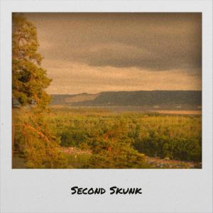 Listen to Second Skunk song with lyrics from Nann Morgann