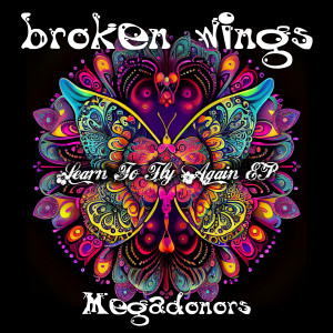 收聽Megadonors的Broken Wings (Instrumental Club Mix)歌詞歌曲