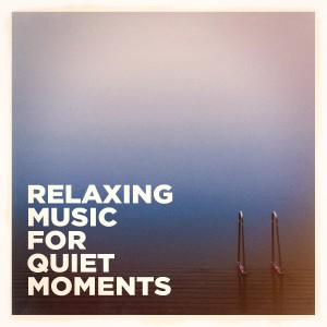 Album Relaxing Music for Quiet Moments from Various