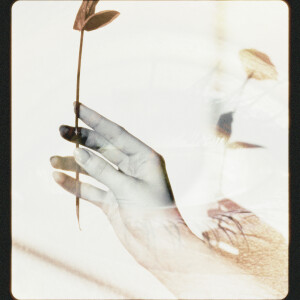 Listen to Close from Far song with lyrics from Anna Logt