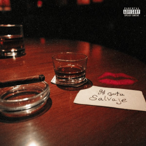 收听Michael T的Mi Gata Salvaje (Explicit)歌词歌曲