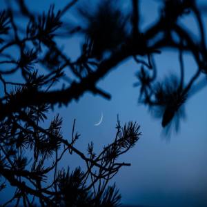 Listen to Positive Affirmations song with lyrics from SPA
