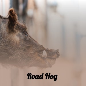 Listen to Boulevard of Broken Dreams song with lyrics from Husky
