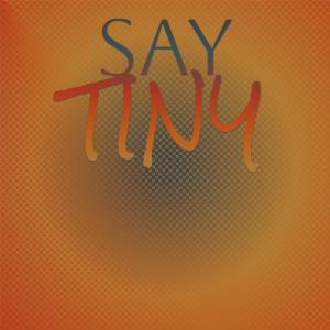 Dengarkan lagu Say Tiny nyanyian Desy Scar dengan lirik