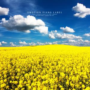 Album Sleeping music collection resembling spring (sleeping piano) from Various Artists