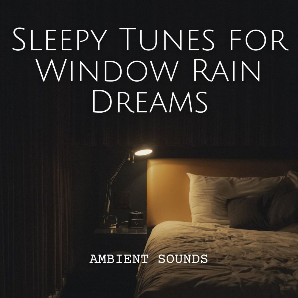Tranquil Sleepy Rainy Night