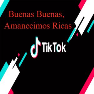 收听Tik Tok的Buenas Buenas, Hoy Amanecimos Ricas歌词歌曲
