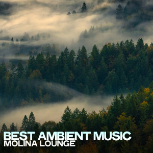 อัลบัม Best Ambient Music ศิลปิน Molina Lounge