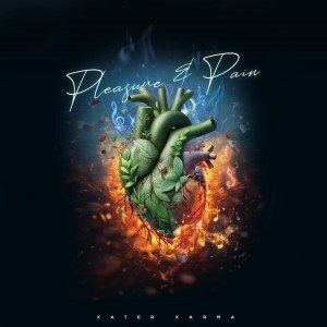 收聽Kater Karma的WA SABI歌詞歌曲