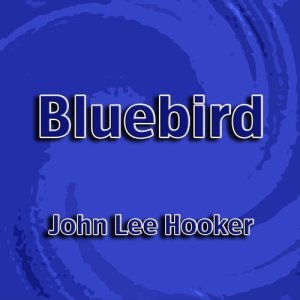ดาวน์โหลดและฟังเพลง Apologize พร้อมเนื้อเพลงจาก John Lee Hooker