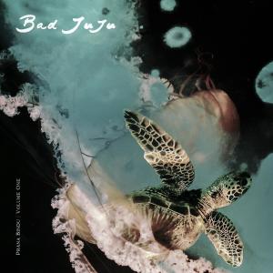 ดาวน์โหลดและฟังเพลง m u s i q u a l u d e พร้อมเนื้อเพลงจาก Bad Juju