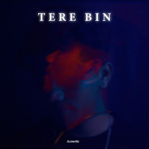 Album Tere Bin (Acoustic) from B.A.D