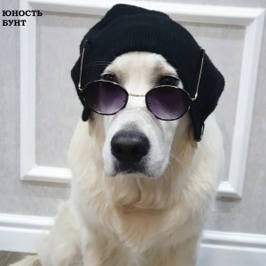 Listen to Хочу (Explicit) song with lyrics from Юность