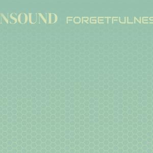 Various Artists的專輯Unsound Forgetfulness