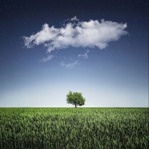 Dengarkan Meandering Stream lagu dari Sleepy Times dengan lirik