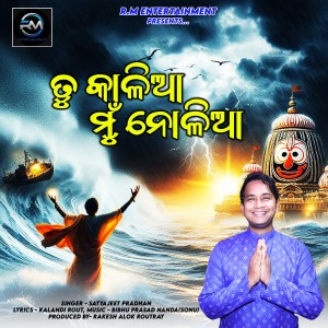 Listen to TU KALIA MUN NOLIA song with lyrics from Satyajit Pradhan