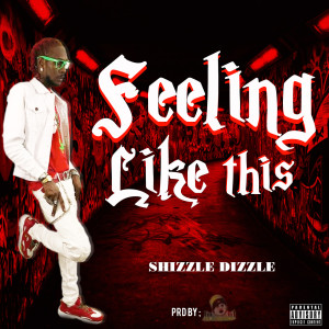 ดาวน์โหลดและฟังเพลง Feeling Like This พร้อมเนื้อเพลงจาก Shizzle Dizzle