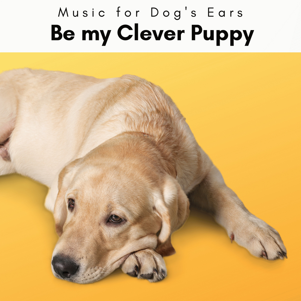 Relaxing Ambience for Devoted Puppies