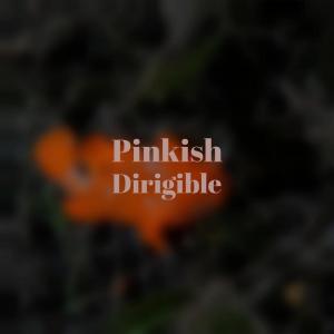 Listen to Campestre song with lyrics from Sney Rika