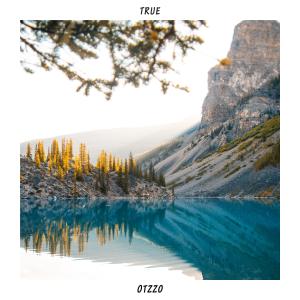 Album True oleh Otzzo