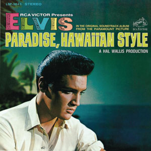 ดาวน์โหลดและฟังเพลง A Dog's Life พร้อมเนื้อเพลงจาก Elvis Presley