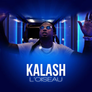 ดาวน์โหลดและฟังเพลง L'oiseau (Explicit) พร้อมเนื้อเพลงจาก Kalash