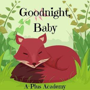 收听A-Plus Academy的Goodnight for Everyone歌词歌曲