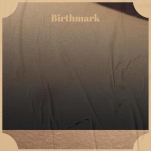 Album Birthmark from Various