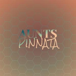 Listen to Aunts Pinnata song with lyrics from Jerred Mete