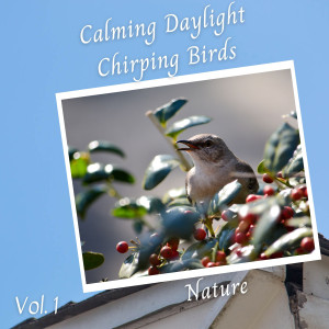 ดาวน์โหลดและฟังเพลง Birds Chirping พร้อมเนื้อเพลงจาก The Forest Escape