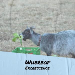 收聽Johel Kure的Among Thick歌詞歌曲