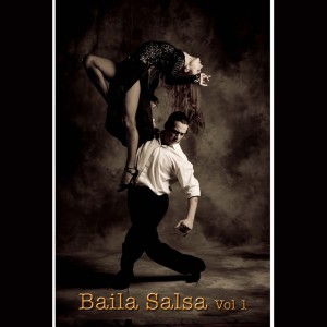 Listen to Canta le Ceiba, Baila la Palma Real song with lyrics from Los Van Van