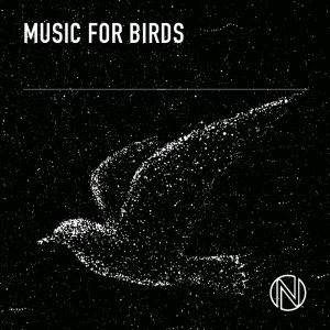 Alexander Gray的專輯Music for Birds