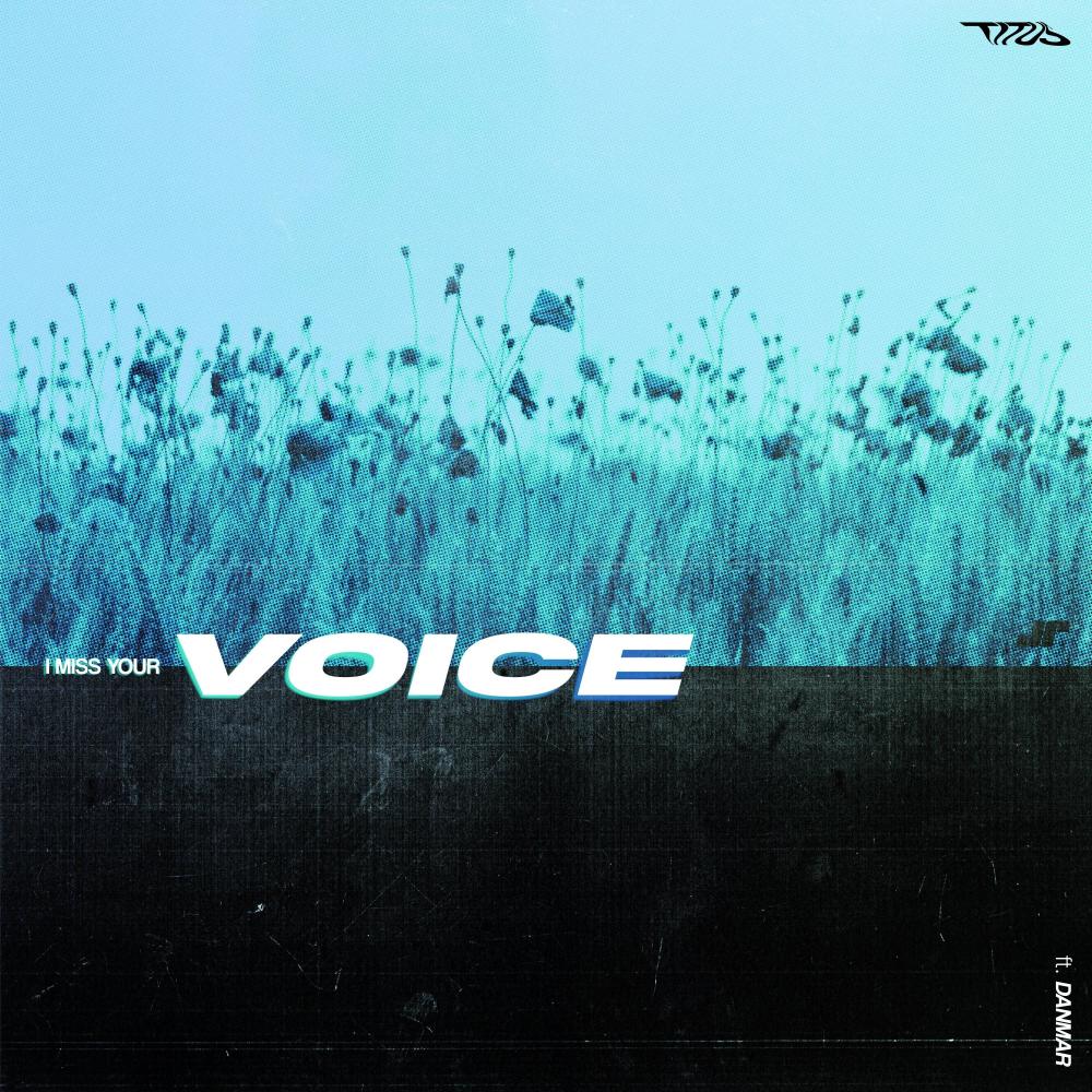 I Miss Your Voice (feat. Danmar)