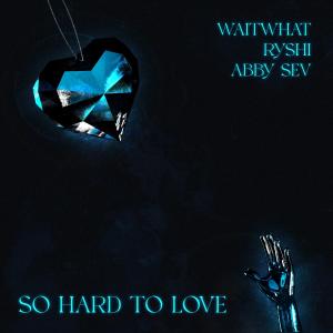 Album So Hard to Love from waitwhat