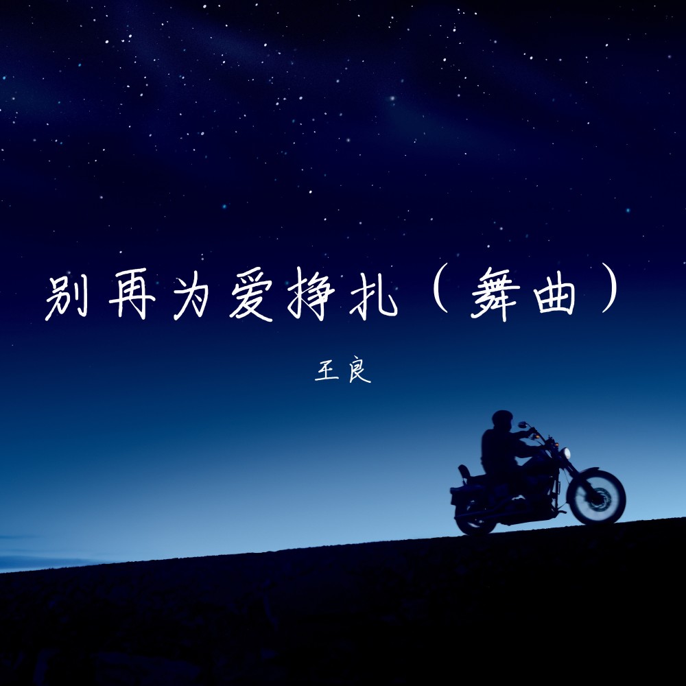 别再为爱挣扎 (舞曲)