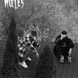 收聽Killa Fonic的Mucle$歌詞歌曲