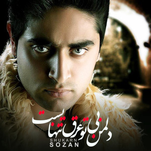 Listen to Del man Bi tu song with lyrics from Shekib Sozan