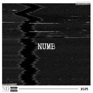 Album Numb (Explicit) from Nick DiMercurio
