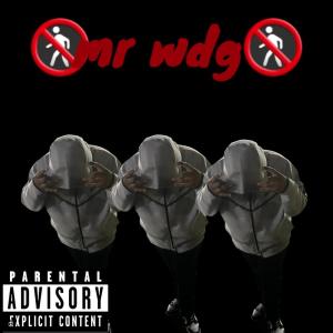 ดาวน์โหลดและฟังเพลง Mr Walk Down Gang (Explicit) พร้อมเนื้อเพลงจาก WDG