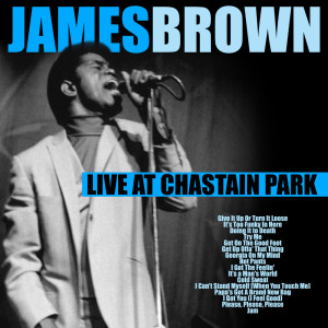 Listen to Give It Up Or Turn It Loose song with lyrics from James Brown