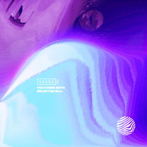 Album Selected B1 - EP from You Know Seth
