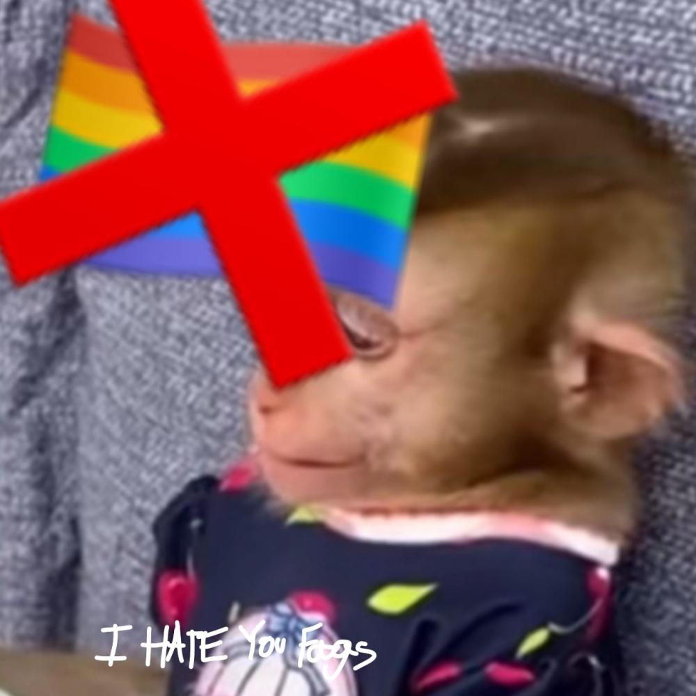 saddest fag hater