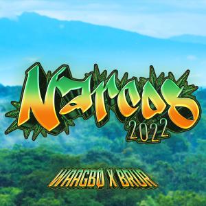 Listen to Narcos 2022 (Explicit) song with lyrics from Waagbø