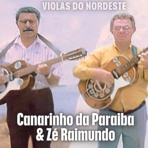 ดาวน์โหลดและฟังเพลง Violência Global พร้อมเนื้อเพลงจาก Canarinho da Paraíba