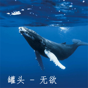 Listen to 无欲 song with lyrics from 罐头