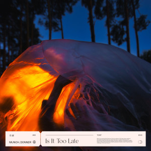 Listen to Is It Too Late song with lyrics from Munch