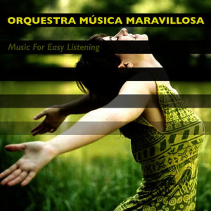 收聽Orquesta Música Maravillosa的Concerto For Lovers歌詞歌曲