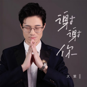 Dengarkan lagu 谢谢你 nyanyian 大笨 dengan lirik